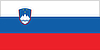 The flag of Slovenia.